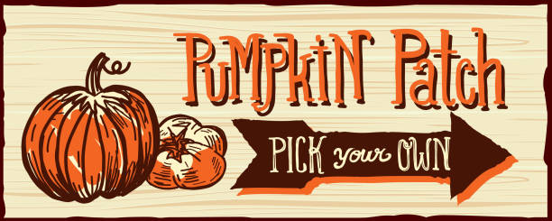 wybierasz dyni patch drewniany znak ze staromodnym truckiem na drewnianym tle - pumpkin patch stock illustrations