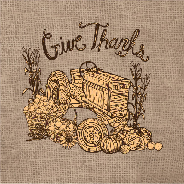 Vector illustration of a Thanksgiving Tractor with crop harvest greeting design. Includes, corn stalks, bushel baskets, pumpkins and all things fall harvest on burlap background.
