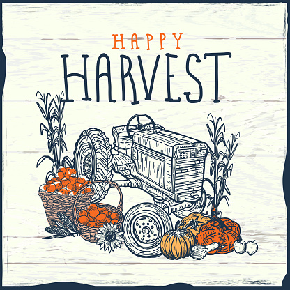 Vector illustration of a Thanksgiving Tractor with crop harvest greeting design. Includes, corn stalks, bushel baskets, pumpkins and all things fall harvest.