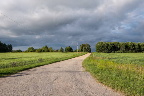 istock simple country road in summer 1004981364