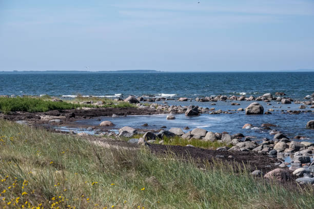 istock rocky sea beach with waves and sunny day 1004981702
