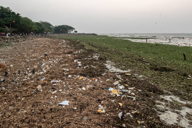 istock Plastic waste on beach in Kochi, Southern India 1004984398