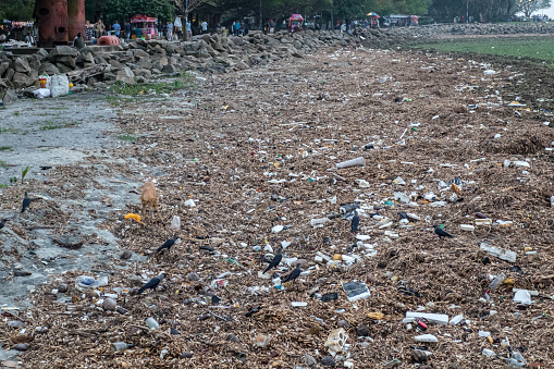 Environmental problem, large amounts of plastic waste on beach in Kochi, Southern India