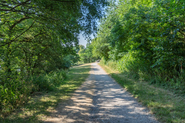 istock English Country Lane 1004986884