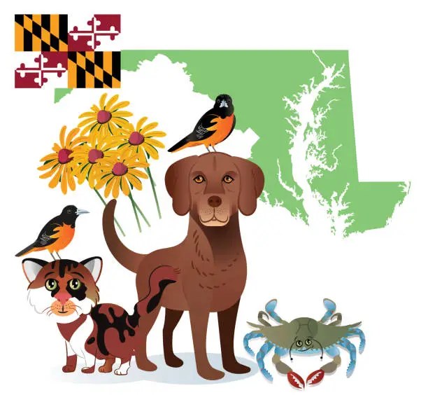 Vector illustration of Maryland State