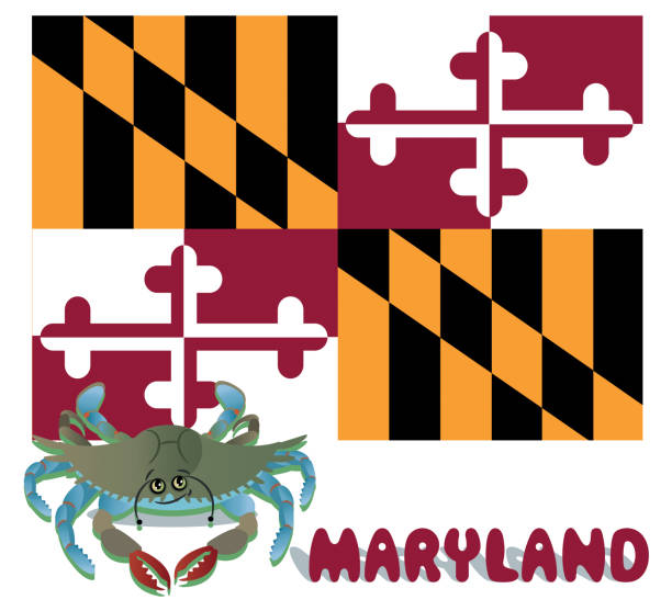 ilustrações de stock, clip art, desenhos animados e ícones de maryland  blue crab - maryland blue crab