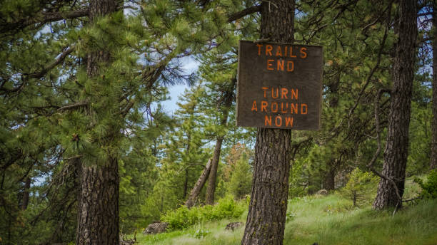 istock Trail's end at the Kamiak Butte's summit 1004998766