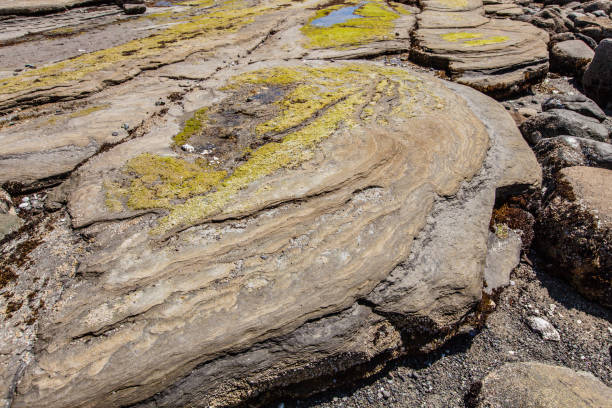 istock Sandpiper Beach, Hornby Island 1004998864