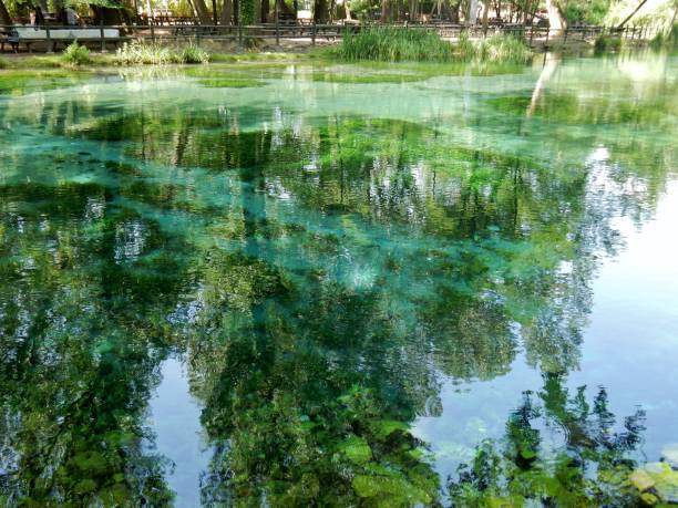 istock Bottom of the Rio Grassano 1005011142