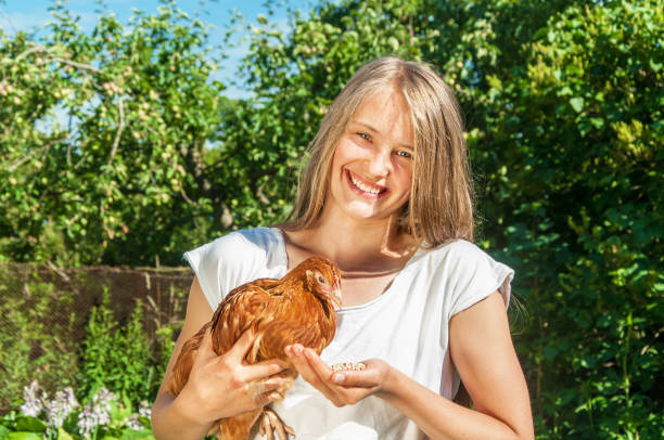 istock Cute girl enjoying feeding chicken 1005017164