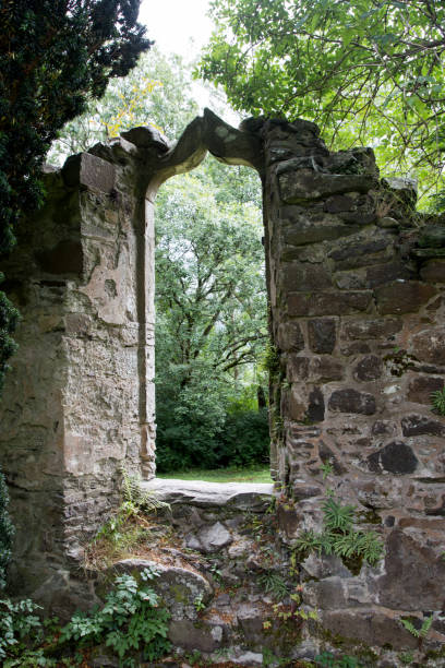 istock Window Aperture in an Ancient Ruined Church 1005039920