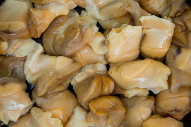 istock Pure raw rapana (Rapana pontica) meat as background texture close-up. 1005040042
