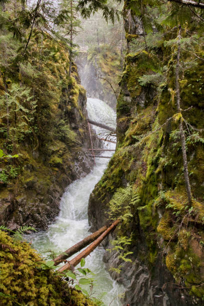 istock Little Qualicum Falls Provincial Park, Vancouver Island, Canada 1005043232