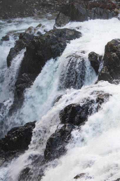 inglês river falls provincial park, ilha de vancouver, canadá - englishman river falls - fotografias e filmes do acervo