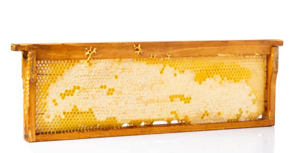 istock Honeycombs frame with fresh honey isolated on a white background. 1005059808