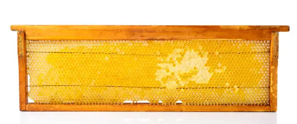 Photo of Honeycombs frame with fresh honey isolated on a white background.