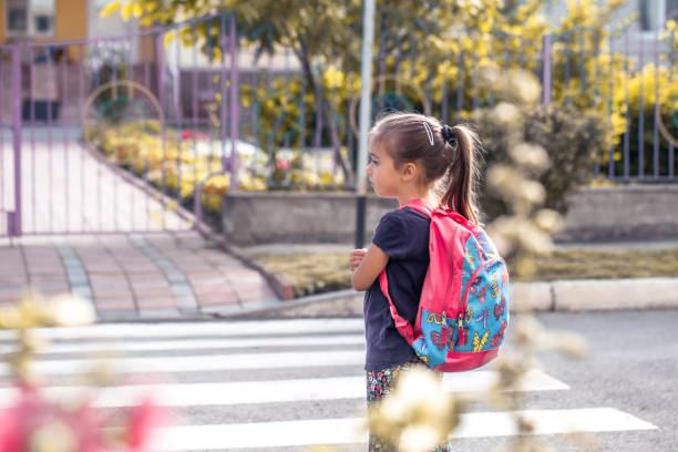 istock Children go to school, a happy student with a backpack, crosses the road 1005068962