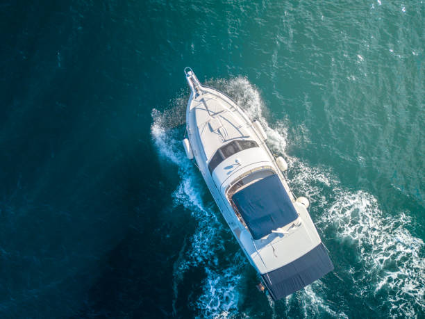 istock sea service team in fast speed motor boat top overhead view 1005075858