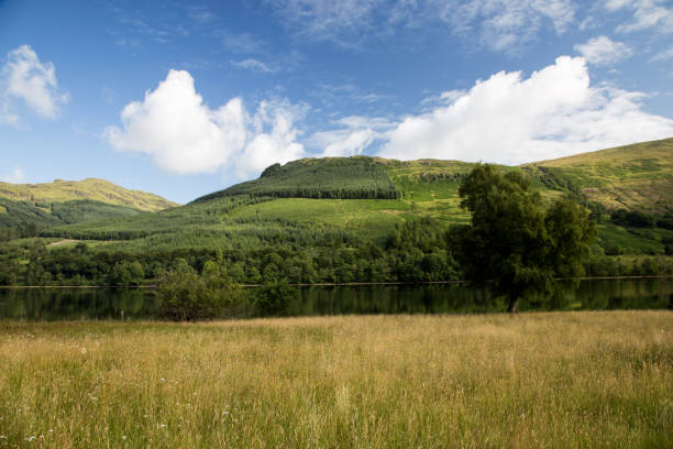 istock Scottish Highland Hillside and Loch on a Summer Day 1005082976