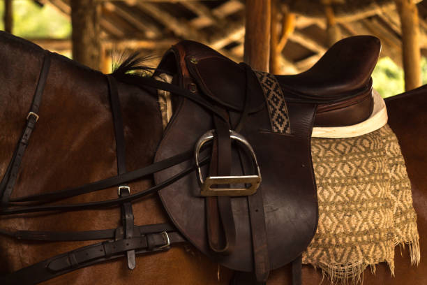 Leather saddle on polo horse
