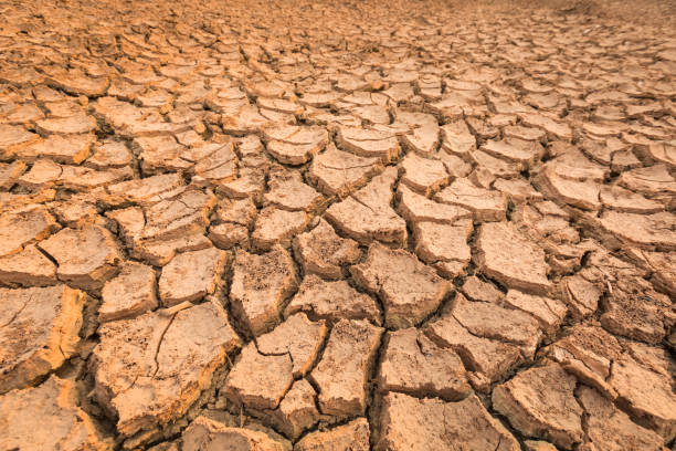 istock cracked soil in summer season 1005111502