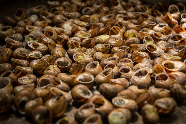 Catalan gastronomy, Lleida, Catalan food, local food of Lleida, Catalonia