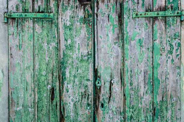 istock Old green painted wood door 1005124142