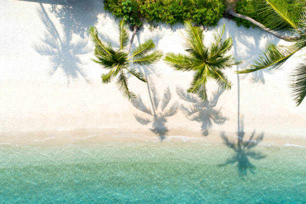 istock Top view aerial drone shot of beautiful beach 1005124838