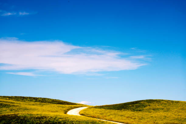 istock Black Hills South Dakota 1005127402