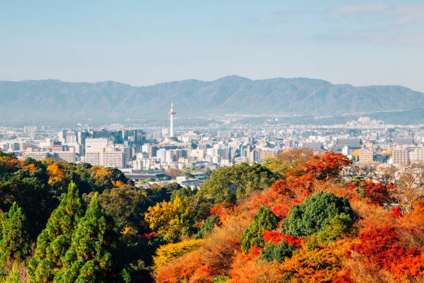 istock Kyoto city view with autumn maple tree in Japan 1005127494