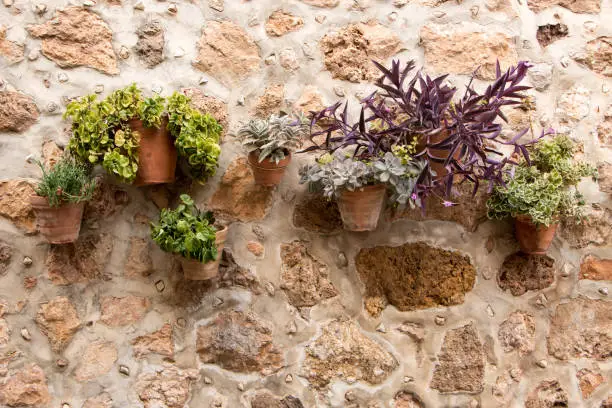 Stone wall, flowers, summer, holidays, colorful flowers, nature, home decoration, rural village, country life, rural life, Balearic Islands, charming villages