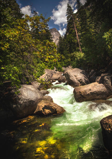 istock scenic outdoors water flowing through rocks and forest trees in Yosemite 1005145126