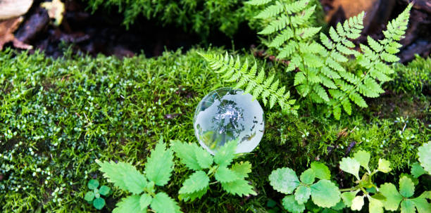 istock Glass globe on the mossy land 1005158500
