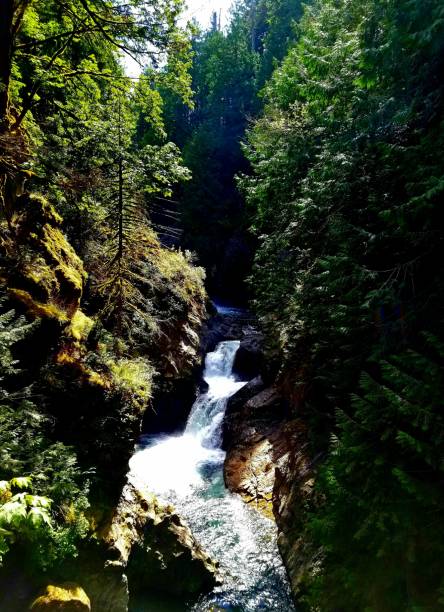 istock Stream flowing through the Cascade mountains outside of Seattle, WA 1005165790
