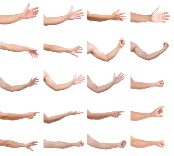 istock Set of man hands isolated on white background 1005166912