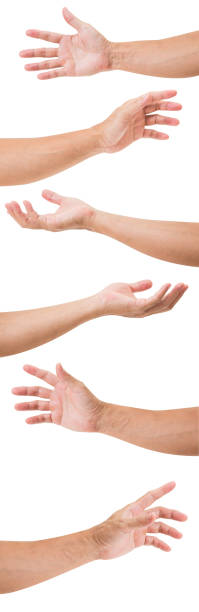 istock Set of man hands isolated on white background 1005167854