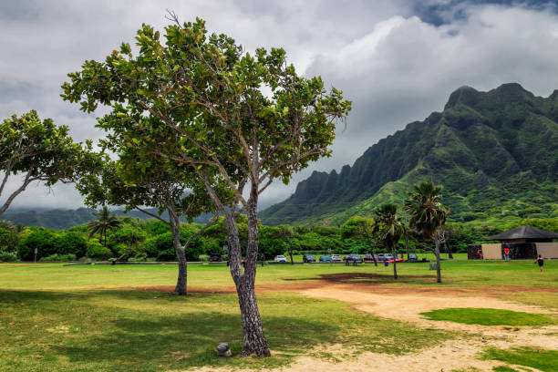 istock Kualoa beach park and mountain range on Oahu island, Hawaii 1005173780