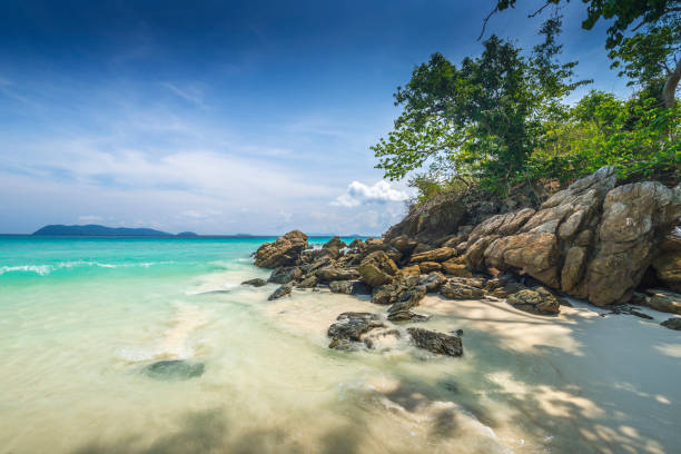 istock Sea view beautiful tropical beach background with horizon blue sky and white sand. Summer concept. 1005179934
