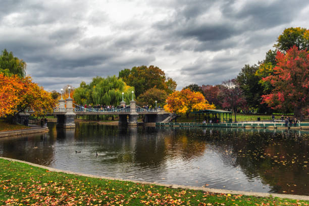 istock Pond in Boston Garden park on a cloudy day 1005186808