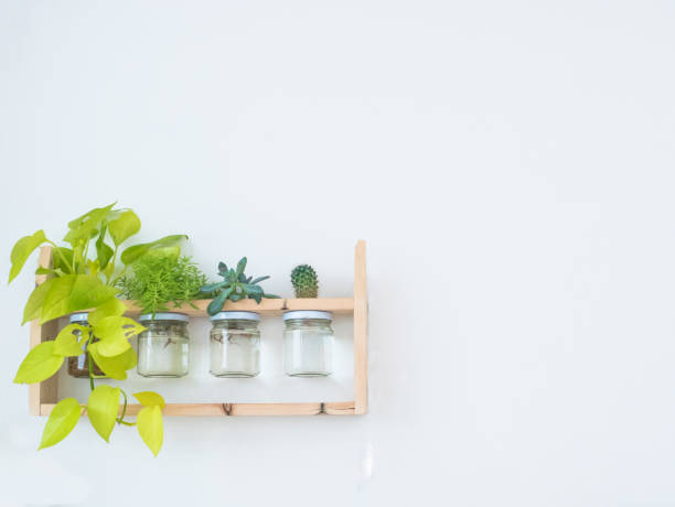 istock Small trees on wooden floor decorated in the house. 1005200104