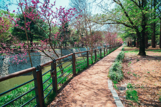 istock Seoul National Cemetery park in Korea 1005200184
