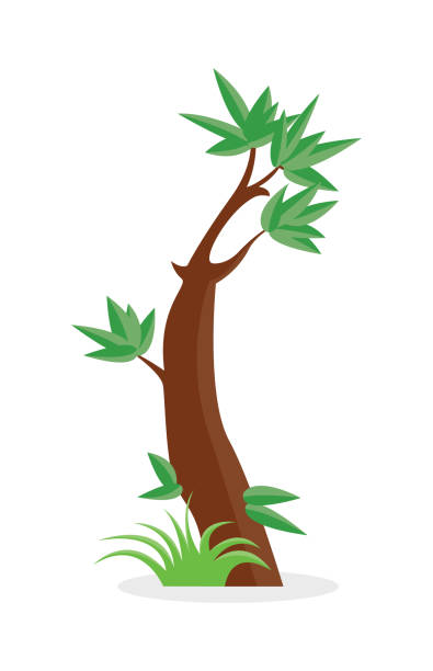 längliche baum auf dem weißen hintergrund isoliert. vektor-illustration. - grass branch wealth forest stock-grafiken, -clipart, -cartoons und -symbole