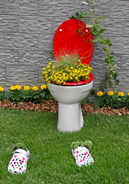 Old toilet bowl as a unusual garden decoration. New life for old things