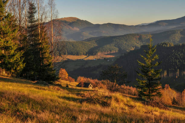 istock Colorful autumn in Carpathian mountains 1005269996