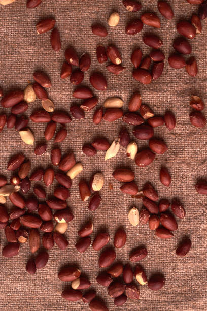 istock walnut peanut scattered on sackcloth background. Top view. Textured 1005270742