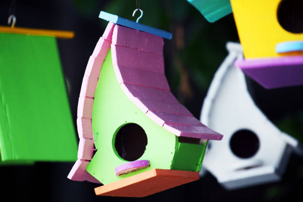 istock colorful wooden bird house background. 1005276684