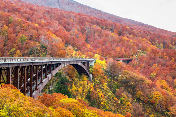 Jogakura Ohashi Bridge during autumn foliage season in Aomori Tohoku Japan, colorful trees on large mountains with red, orange, and golden foliage. Jogakura Ohashi Bridge during autumn foliage season in Aomori Tohoku Japan, colorful trees on large mountains with red, orange, and golden foliage. hakkoda mountain range stock pictures, royalty-free photos & images