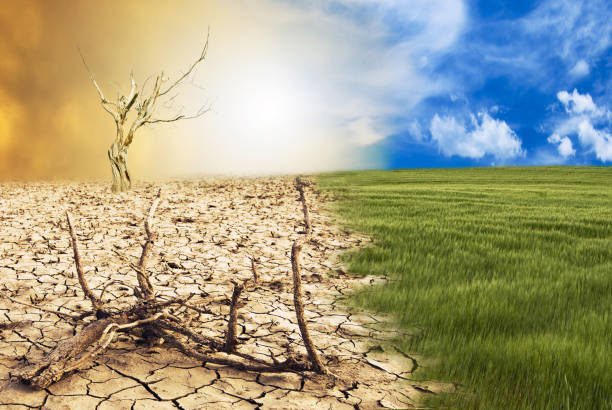 conceptual scene, climate change conceptual scene: metamorphosis of our planet, transition from a green environment to the hostile and arid climate due to climate change crevice photos stock pictures, royalty-free photos & images