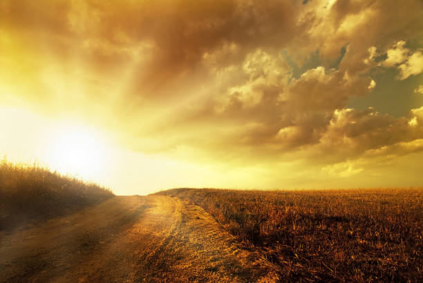 a country road leads the eye over the fiery hill from a sunrise and a spectacular sky