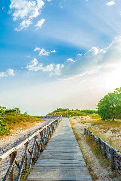 istock wooden footbridge on the beach 1005304442